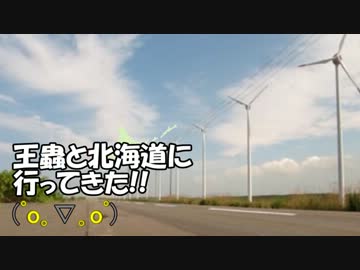 (ﾟo｡∇｡oﾟ)王蟲と北海道に行って来た!!【01富良野～野寒布岬】
