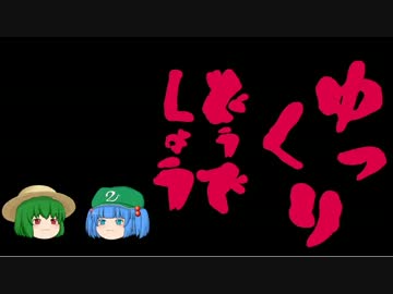 【車載動画】栃木県主要地方道全走破の旅　県道３号線　最終夜