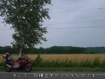 バイクで！ ＺＺＲ400で北海道ツーリング （5）名寄まで2013，08，06～12 