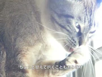 いよいよなのかジャンくん！　微かな幸せの予感？