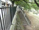 階段猫