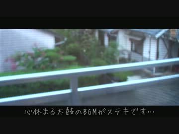 みこしの夏休み Dynamite四国編 Part1