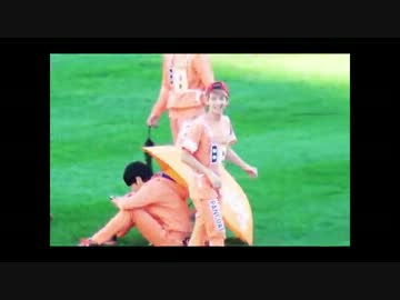 130903 ベクちゃん どこ行くの? (ΦωΦ)