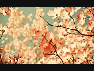 【VIP】作曲できる奴ちょっとこいダイジェスト[秋]