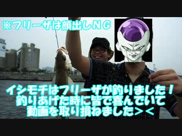 【本牧】２度目の海釣りはプロも真っ青な爆釣で爆笑【V.A.P.S_Bだっしゅ】