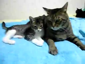 生後16週間-3　さばにおじちゃん（遠くにマオおばちゃん）