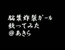 脳漿炸裂ｶﾞｰﾙを歌ってみました