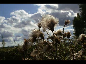 【from Summer】 "Days Clearing Up" short mix 【to Autumn】