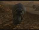 ゆっくりさんの「AFRIKA」写真紀行 part2