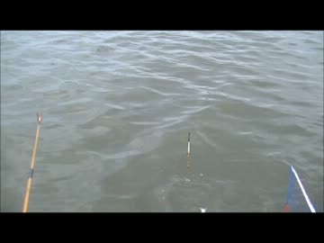 2ヶ月ぶりの釣り