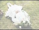 「眠り姫」歌ってみました。