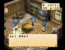 『牧場物語 ハーベストムーン』極め道　補足の4：グレイの家出