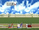 SSBB HRC 1PCo-op NBA Ganon&Ice 5637.4m/18495.4ft