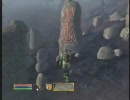 OBLIVION の地図にない道（ブルーマ発 北東路）その８