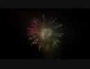 2013.9.7 （長野・諏訪湖）新作花火　11.虹色のグラデーション （奨励賞）