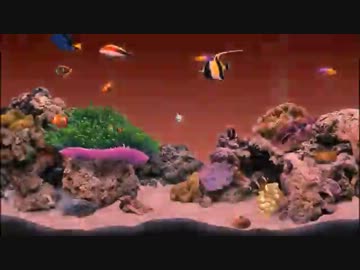 DigiFish Clownfish　遊んでみた