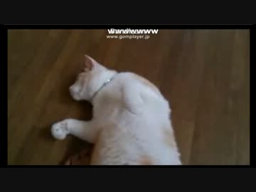 ふくすまのくまちゃん