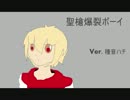 【UTAUカバー】聖槍爆裂ボーイ【種音ハチ】