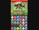 パズドラ【地の神秘龍 ナスカ】メイメイ12_25倍パーティ ノーコン