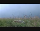霧にかすむ初秋の四国カルスト(天狗高原)