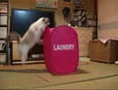 【レオ★ララ】 ランドリー入れ大好き猫3