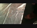 trim.csGPbF.MOV