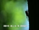 氷蝉【オリジナル曲】