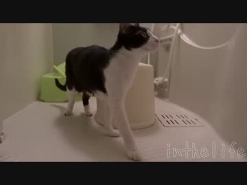 こちらスニャーク。お風呂場に潜入した！