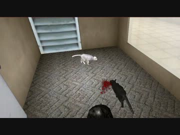 自らガラスに飛び込んで死んじゃった猫ちゃん