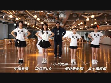 【パンダ４】【コットン太郎】いーあるふぁんくらぶ踊ってみた