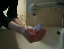 【文鳥】手の平で水浴びの練習をするチピちゃん