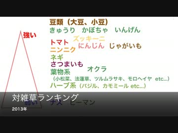【自然農？】雑草あえてはやし農業まとめ【＋＠】