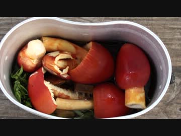 【自然を食べよう！】脱飢饉！夏のタマゴタケ祭り編　3/5