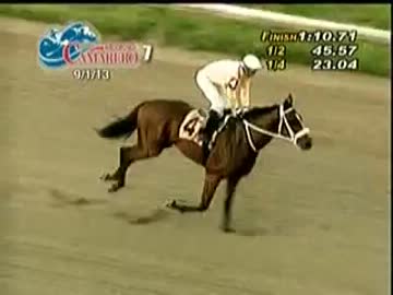 【世界の競馬場から】2013年ホセコールヴィダル賞　トニートエム