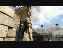 [CODBO2]無駄な殺戮をせず、ただセミになってみる。