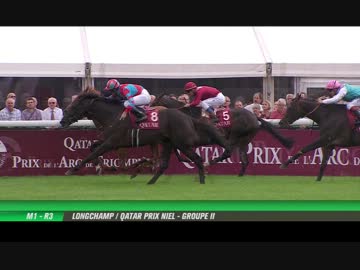 【キズナ】2013ニエル賞(ＧⅡ)