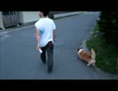 箱崎家のラック