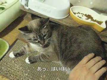 テーブル下以外で初めてジャンくんの頭をナデナデ