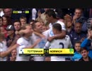 EPL - Tottenham Hotspur VS Norwich City Highlights
