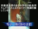 【혐오주의】한국식품의 위험성 - 이물질 영상.avi