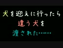犬を迎えに行ったら違う犬を渡された……【2ch】
