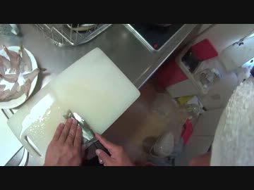 【のんびり】ハゼを釣って捌いてみた【釣り方捌き方】