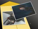 眠れぬ夜を斬り裂いて行け！獣道－白ノ刹那－を実況プレイpart19