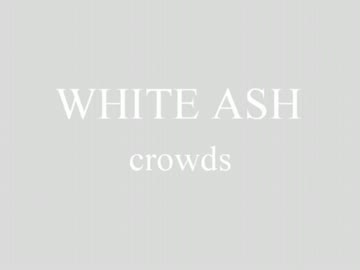 【コラボ動画】　WHITE ASH 「crowds」 弾いてみた