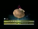 ピクミン2実況プレイ14