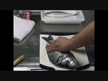 youtubeで捌き方を１回見ただけで魚を捌くとこうなる。　その後