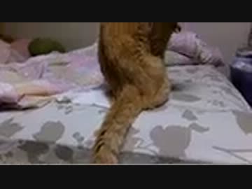 元気ですよ〜！