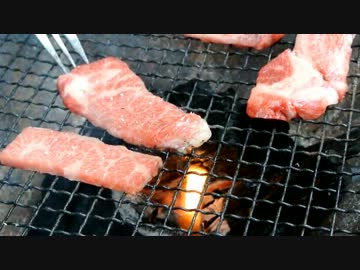 【終了】道志の森にデイキャンに行こう！【のんびりセローで】