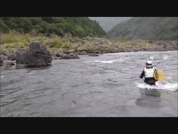 【大鮎狙い】鮎の友釣り！　初釣行・四万十川偏
