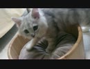にぎにぎ２